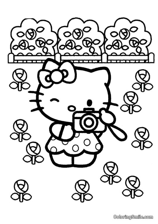 Hello Kitty mit einer Kamera - Ausmalbild