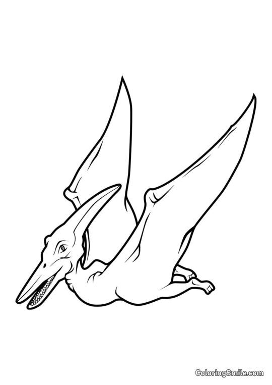Pteranodon - Ausmalbild
