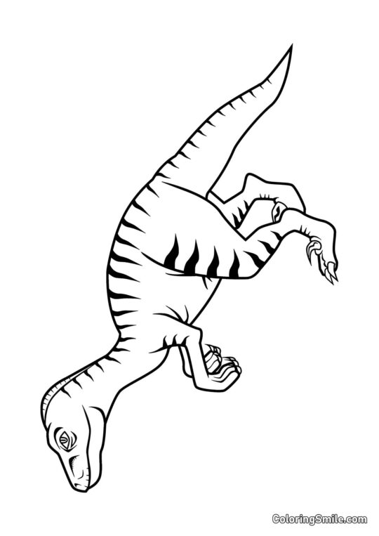 Velociraptor - Ausmalbild