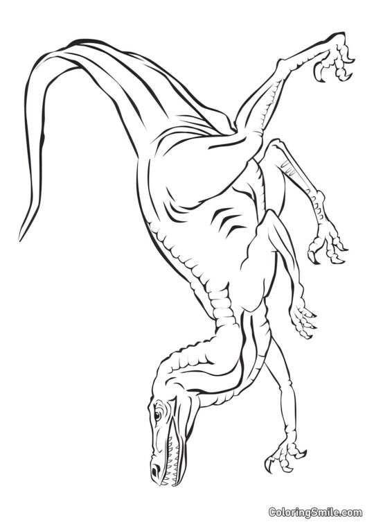 Velociraptor auf der Jagd - Ausmalbild