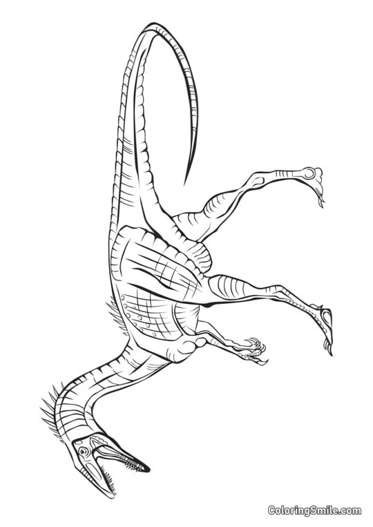 Coelophysis - Ausmalbild