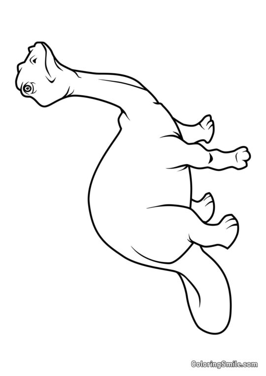Brontosaurus - Ausmalbild
