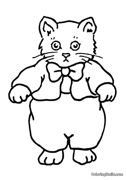 Kätzchen in einem Pullover - Ausmalbild