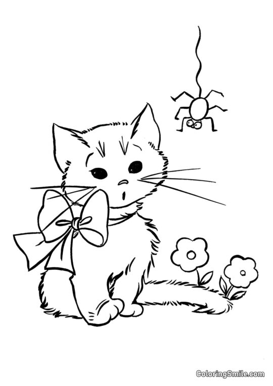 Kätzchen und Spinne - Ausmalbild