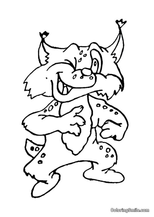 Banditenkatze - Ausmalbild