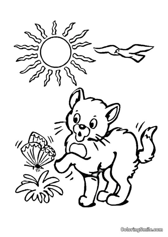 Katze und Schmetterling - Ausmalbild