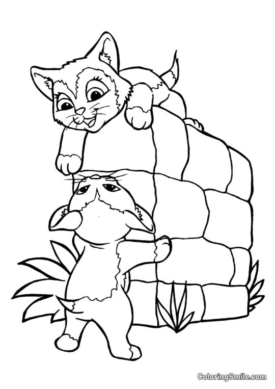 Kätzchen haben Spaß - Ausmalbild