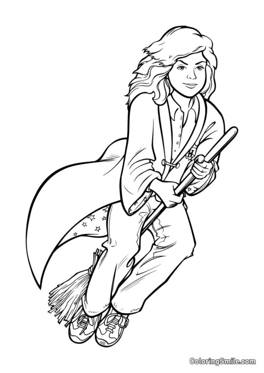 Cartoon Hermine auf einem Besen - Ausmalbild