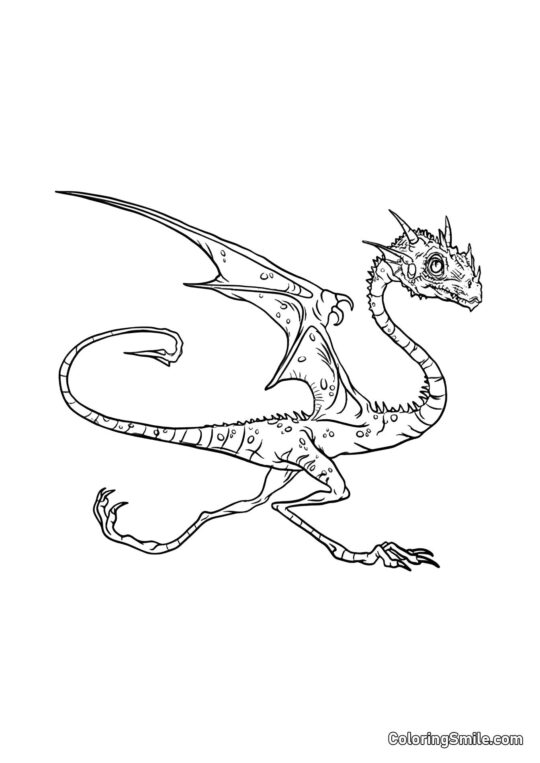 Norbert – Hagrids Drache - Ausmalbild