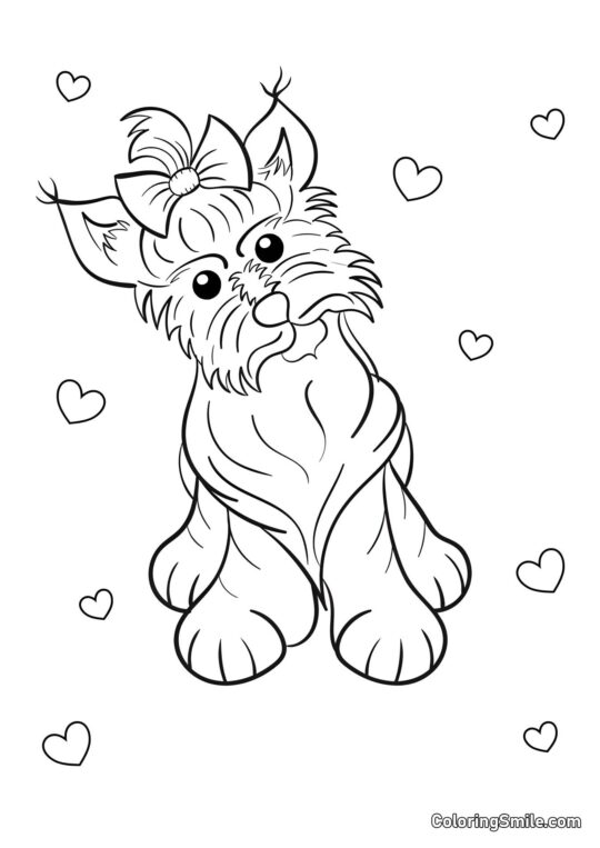 Yorkshire Terrier - Ausmalbild