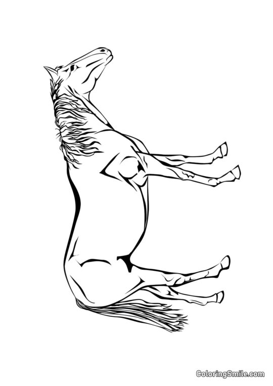 Exquisites Pferd - Ausmalbild