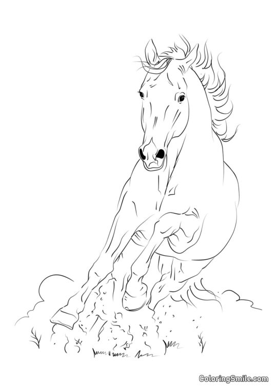 Flieg wie der Wind Pferd - Ausmalbild